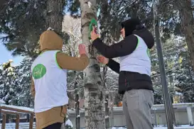 Soğuk havada sessiz canlara vefa