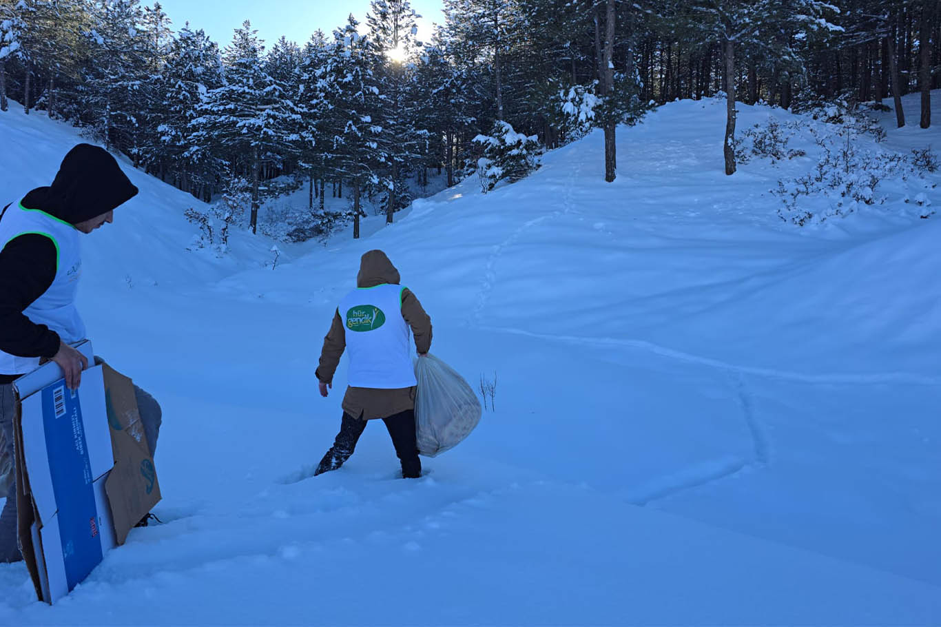 Soğuk havada sessiz canlara vefa